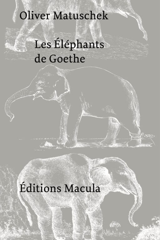 Les Éléphants de Goethe Éditions Macula