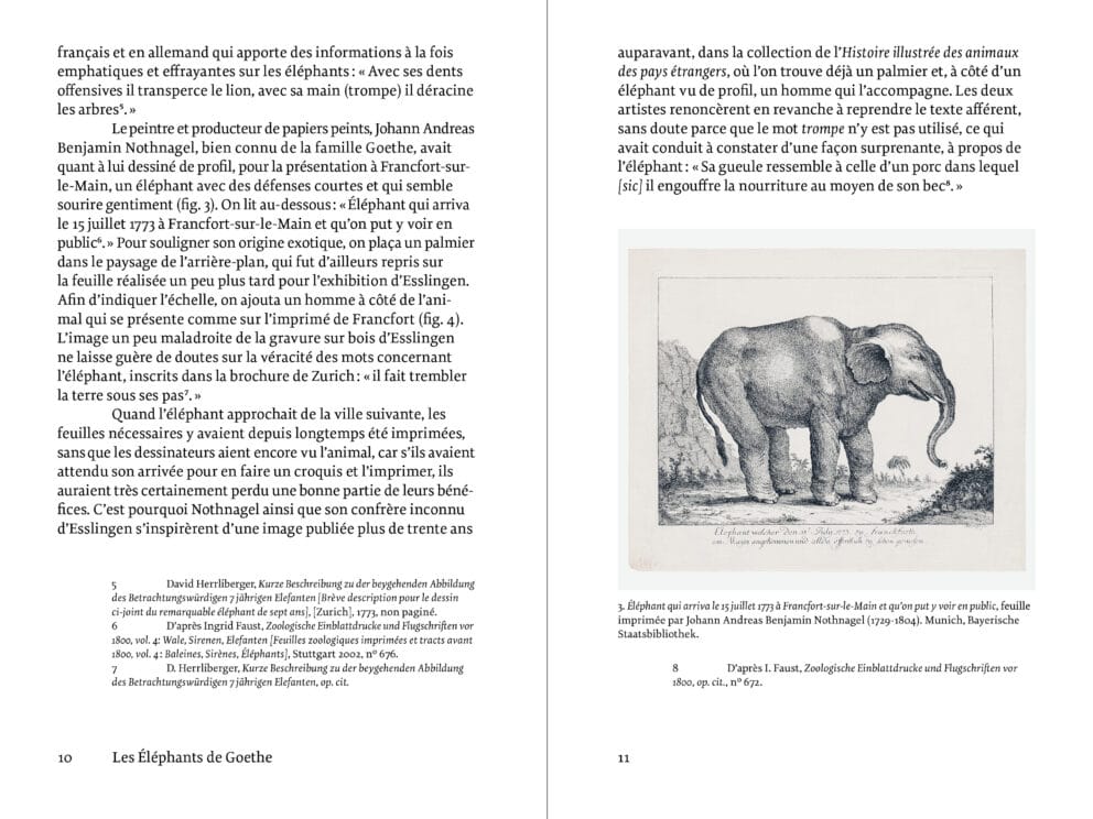 Les Éléphants de Goethe Éditions Macula