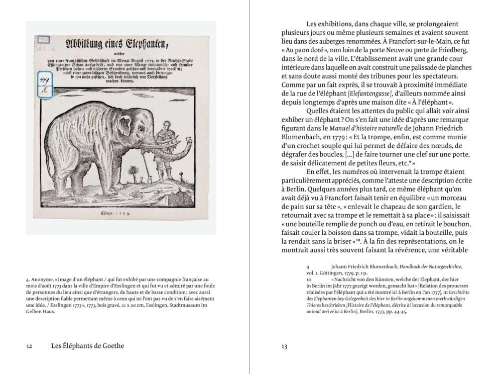 Les Éléphants de Goethe Éditions Macula